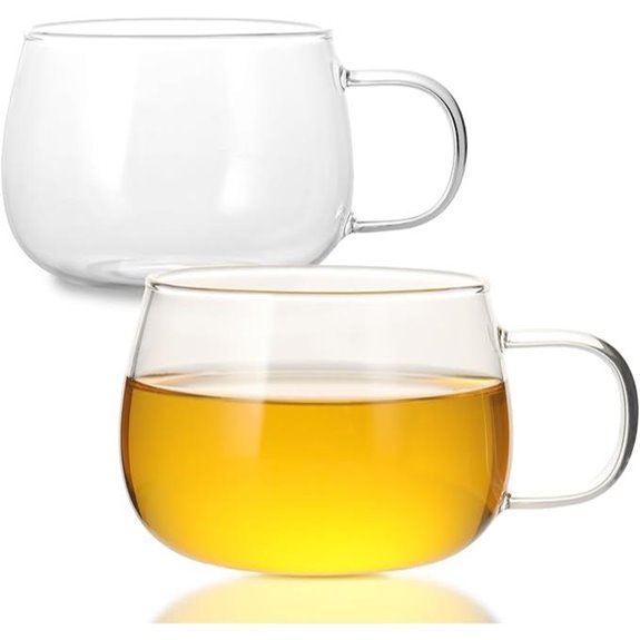 Glass Teacups Set (2) – 12oz Borosilicate with Handles