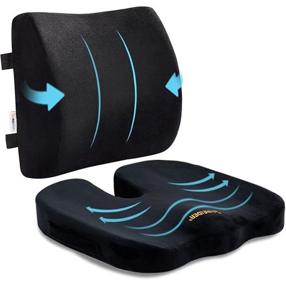 SAIREIDER Seat Cushion & Lumbar Support Pillow (Black)