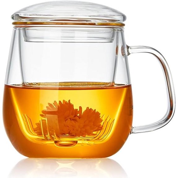 Glass Tea Cup with Infuser and Lid (520ml)