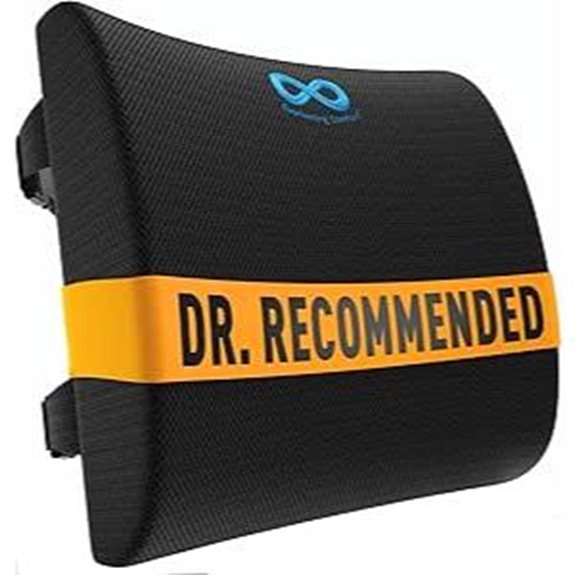 Everlasting Comfort Lumbar Support Pillow for Posture Back Pain